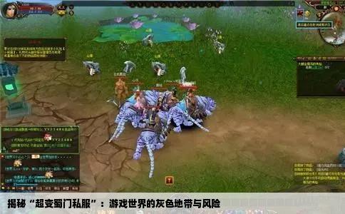 揭秘“超变蜀门私服”：游戏世界的灰色地带与风险