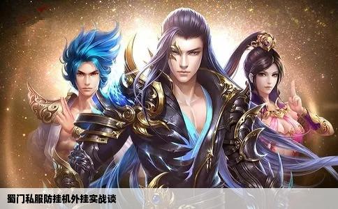 蜀门私服防挂机外挂实战谈