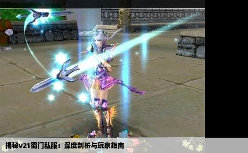 揭秘v21蜀门私服：深度剖析与玩家指南