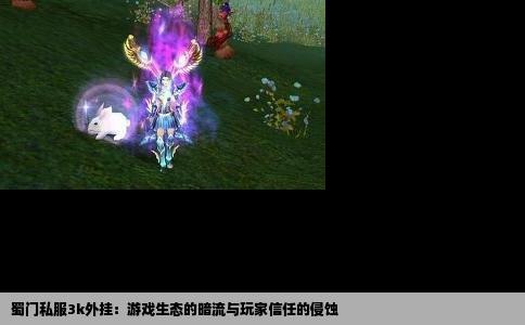 蜀门私服3k外挂：游戏生态的暗流与玩家信任的侵蚀