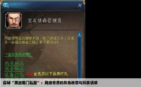 探秘“黑纸蜀门私服”：网游世界的灰色地带与玩家诱惑