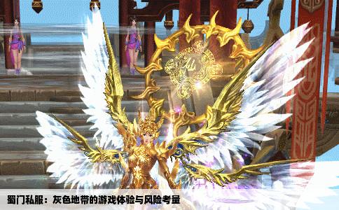 蜀门私服：灰色地带的游戏体验与风险考量