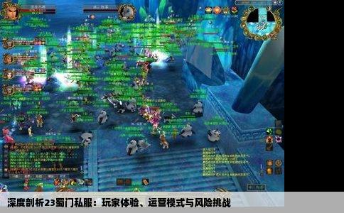 深度剖析23蜀门私服：玩家体验、运营模式与风险挑战