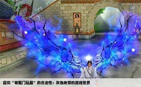探究“老蜀门私服”的合法性：灰色地带的游戏世界